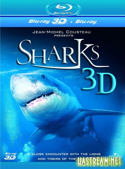 Акули 3D / Sharks 3D (2004) BDRip 2D 720p