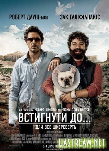 Встигнути до... / Due Date (2010) DVDRip | Український дубляж